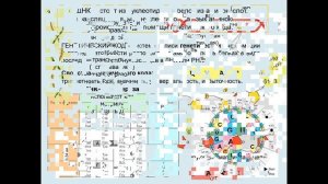 Дубынин В. А. - Физиология иммунитета - 6. Вирусы: жизненный цикл и иммунная система