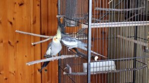 856259-hd_1920_1080_25fps