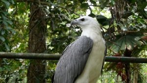 3995550-hd_1920_1080_30fps