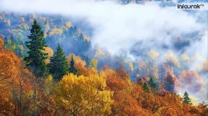 Музыка осени. 1 класс. Инфоурок