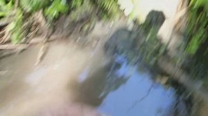 Залез в ручеёк и пошла ЖАРА. Коп по ЧЖУРДЖЭНЯМ, ГОЛЬДАМ в Приморском крае.