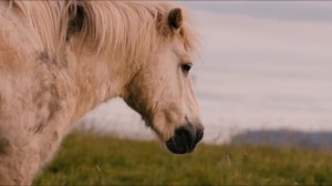 9721856-uhd_4096_1742_25fps