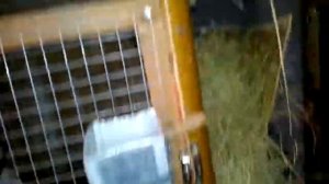 Клетка для кроликов своими руками