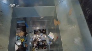 Вячеслав Федорищев принял участие в запуске сортировочного комплекса бытовых отходов в Тольятти