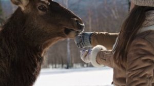 3191917-uhd_3840_2160_25fps