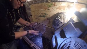 дендробена день 77 заменил субстрат и отселил ювенилов с коконами дендробена размножение