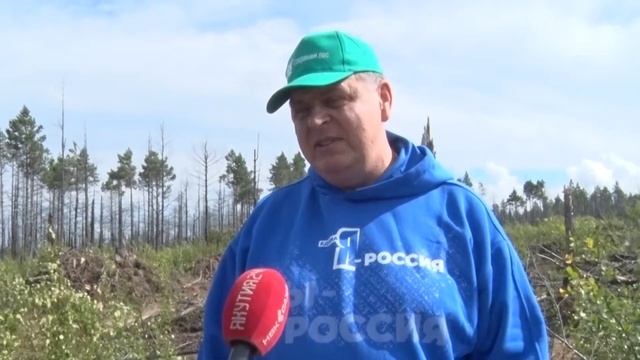 КОМПЕНСАЦИОННОЕ ЛЕСОВОССТАНОВЛЕНИЕ