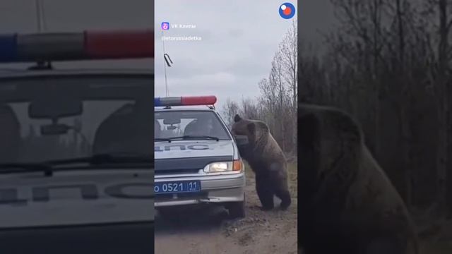 а теперь вы свои права покажите!