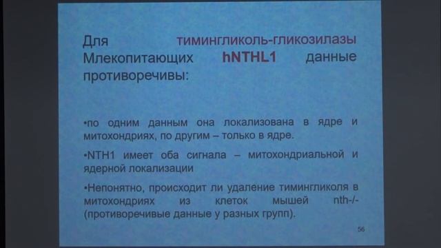 Зиновкина Л. А. - Молекулярная биология митохондрий - 5. Репарация мтДНК