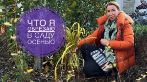 ОСЕННЯЯ ОБРЕЗКА в саду| Что я обрезаю осенью в саду