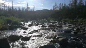 Путорана 2018 ролик.