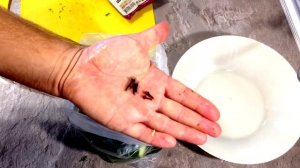 Малосольные хрустящие огурчики в пакете, быстро и вкусно!