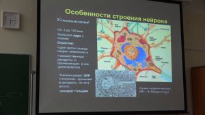 Ловать М. Л. - Физиология человека и животных. Часть 1 - 1. Введение в физиологию. Потенциал покоя