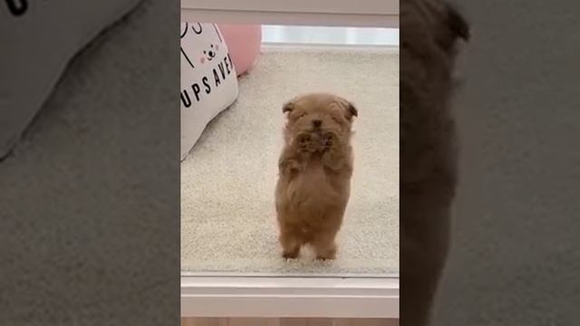 1000005999.mp4