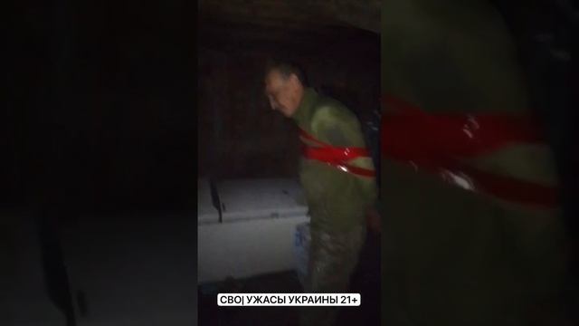 В добрые руки наших бойцов попал чубатый Карлсон.

Научите его летать.😉☝☝