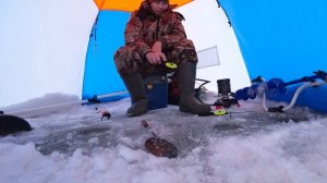 Рыбалка на леща на реке//Fishing for bream on the river