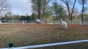 14440770-hd_1920_1080_30fps