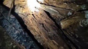 Дот - долговременная огневая точка ВОВ  Изба под землёй обложенная грудой камней