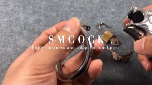 Tiger Head Chastity Cage for Men Stainless Steel Chastity Device Belt Locking