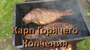 Карп Горячего Копчения В Коптильне Как Замариновать И Сколько Коптить