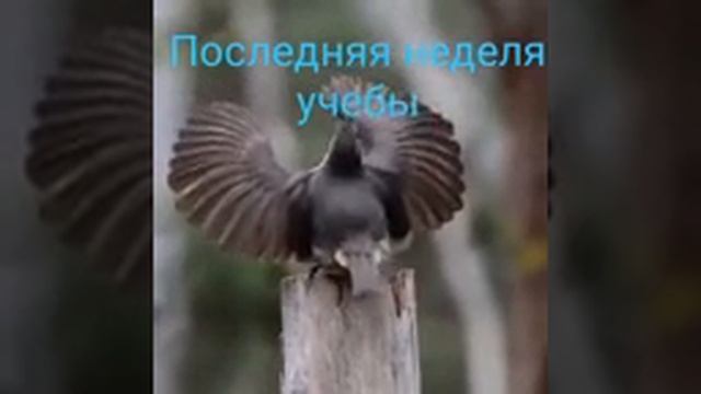 Ура! #каникулы #лето Всем хорошего отдыха!