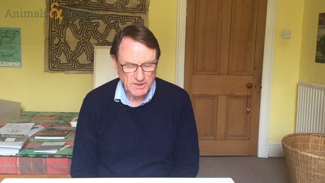 Defining Domestication with Timothy Ingold - ASI's Defining Human-Animal Studies 16 смотреть онлайн