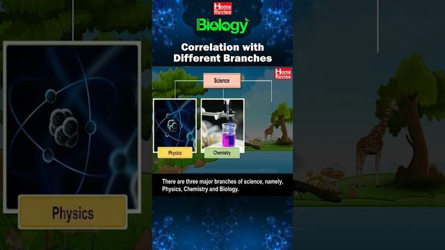 Correlation with different branches