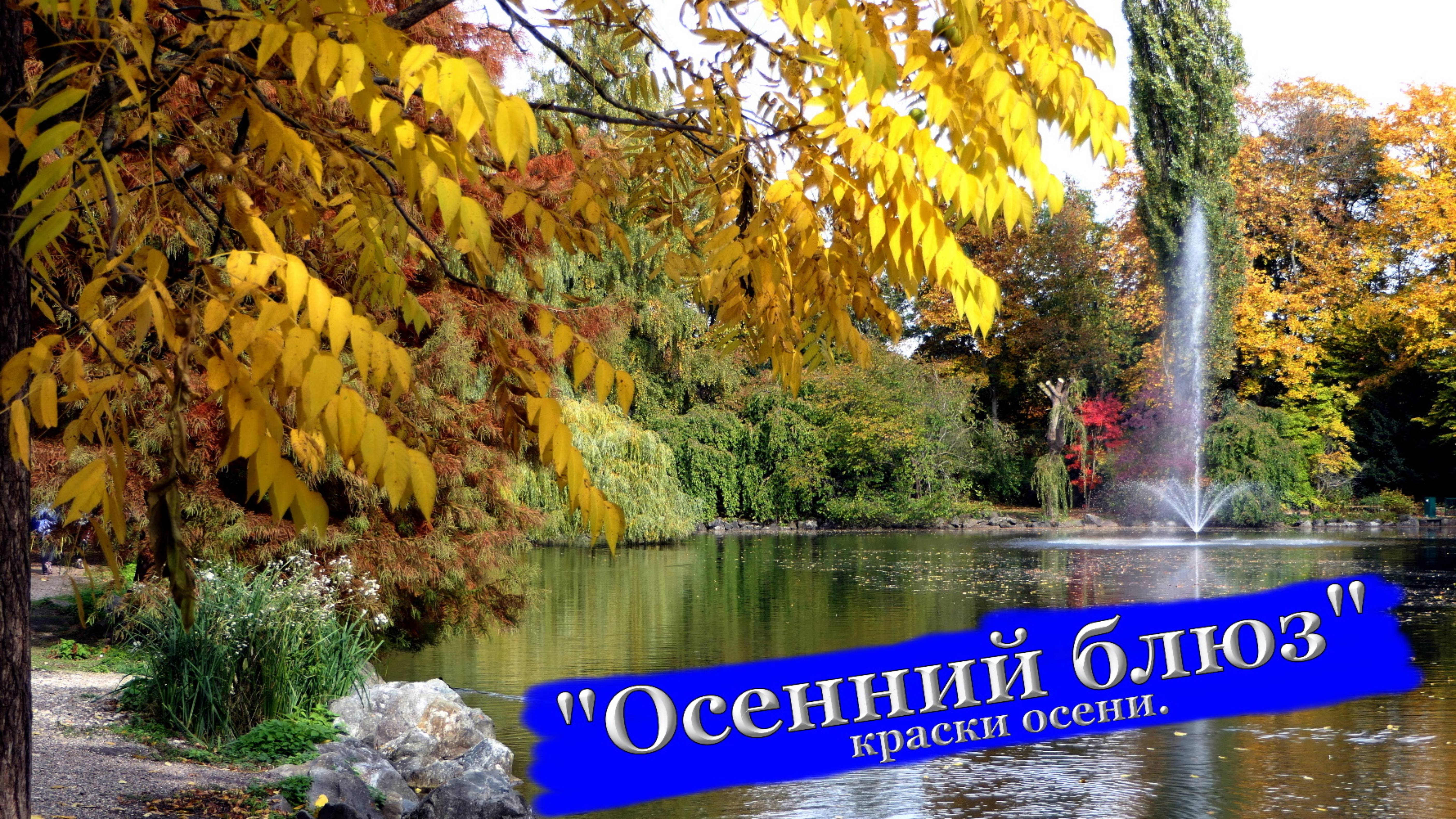 🍁"Осень"🍂 и саксофон Прогулка по Осеннему Парку со Звуками Живой Природы для Снятия Стресса.💞💞💞