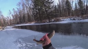 Рыбалка на Хариуса по Заберегам и Кромке Льда в Мороз/ Ловля На удочку по Замёрзшему Льду на РЕКЕ!