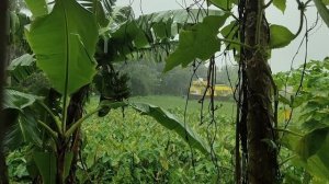 5192322-hd_1280_720_30fps