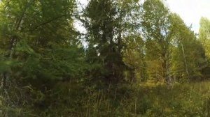 Открытие осеннего сезона с глухарем