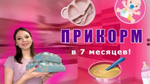 Прикорм в 7 месяцев! || Как кормить ребёнка в возрасте 7 месяцев?