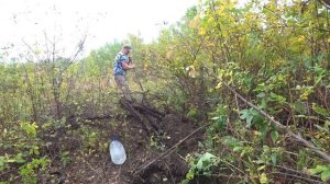 Охота на барсука с Ягдтерьером