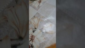 ,,Тютчевская" груша созрела ...