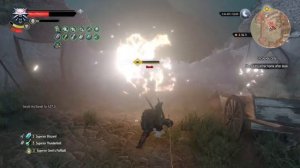 The Witcher 3: Universal Witcher Build: Igni Wolf