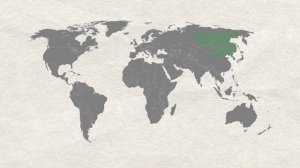 Сахалинская кабарга