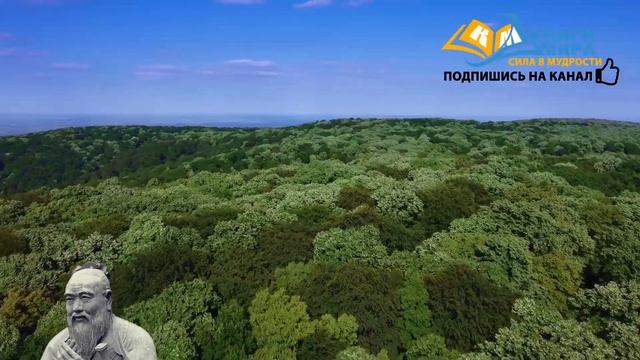 🔴Конфуций! Откровение Величайшего Мудреца! Топ 100 Мудрых Цитат Которые Необходимо Услышать!
