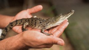 10041463-hd_1920_1080_24fps