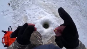 Рыбалка на мормышку. Одел глаз и понеслось. ХМАО.