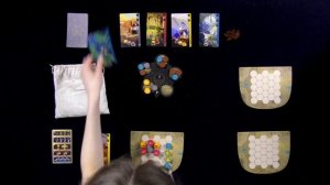 Гармония - обзор и правила настольной игры