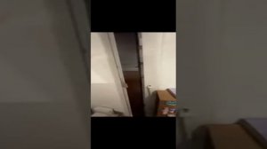 Квартира Чайковского