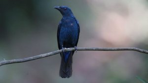 5570163-uhd_3840_2160_30fps