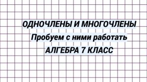 Что такое многочлен и одночлен. Разбираемся. Алгебра 7 класс