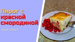 Пирог с красной смородиной в духовке простой рецепт
