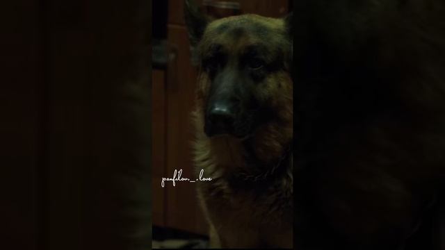 жалко Макса ,интервью смотреть онлайн