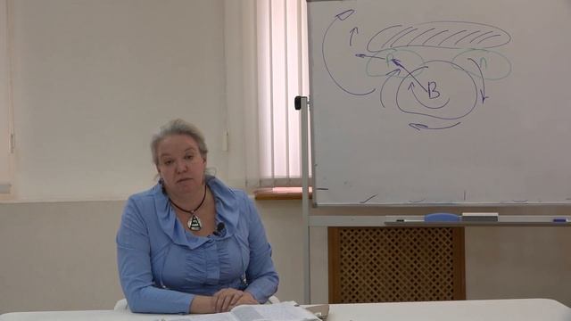 Гущина Д. Ю. - Синоптическая метеорология. Часть 2 - Влияние орографии на атмосферные вихри