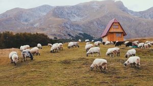 5666725-uhd_4096_2160_30fps