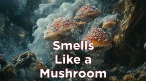 Пахнешь, как Грибок ★ Smells Like a Mushroom ★ Первый Взгляд