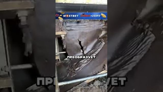 Гигиена пищевой промышленности 😱🔥