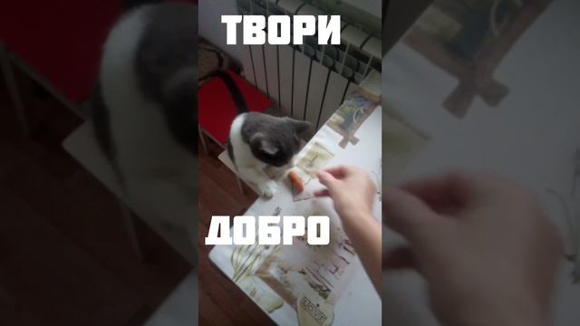 Делаю Беляши кошка дегустирует